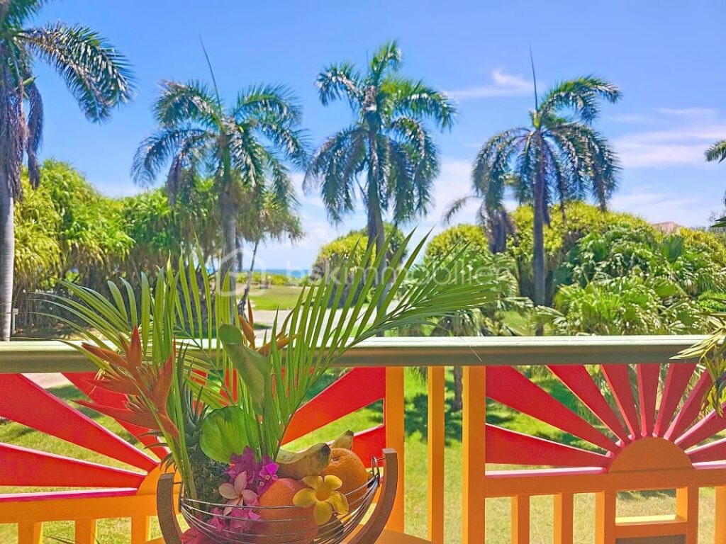 Splendide studio vue mer Anse des Rochers – 1 pièce – 1 chambre – 20 m²