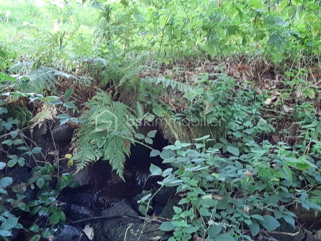 Terrain de loisir 9275 m² – Cognac la Forêt 87310 – NR pièces – NR chambres – 9773 m²