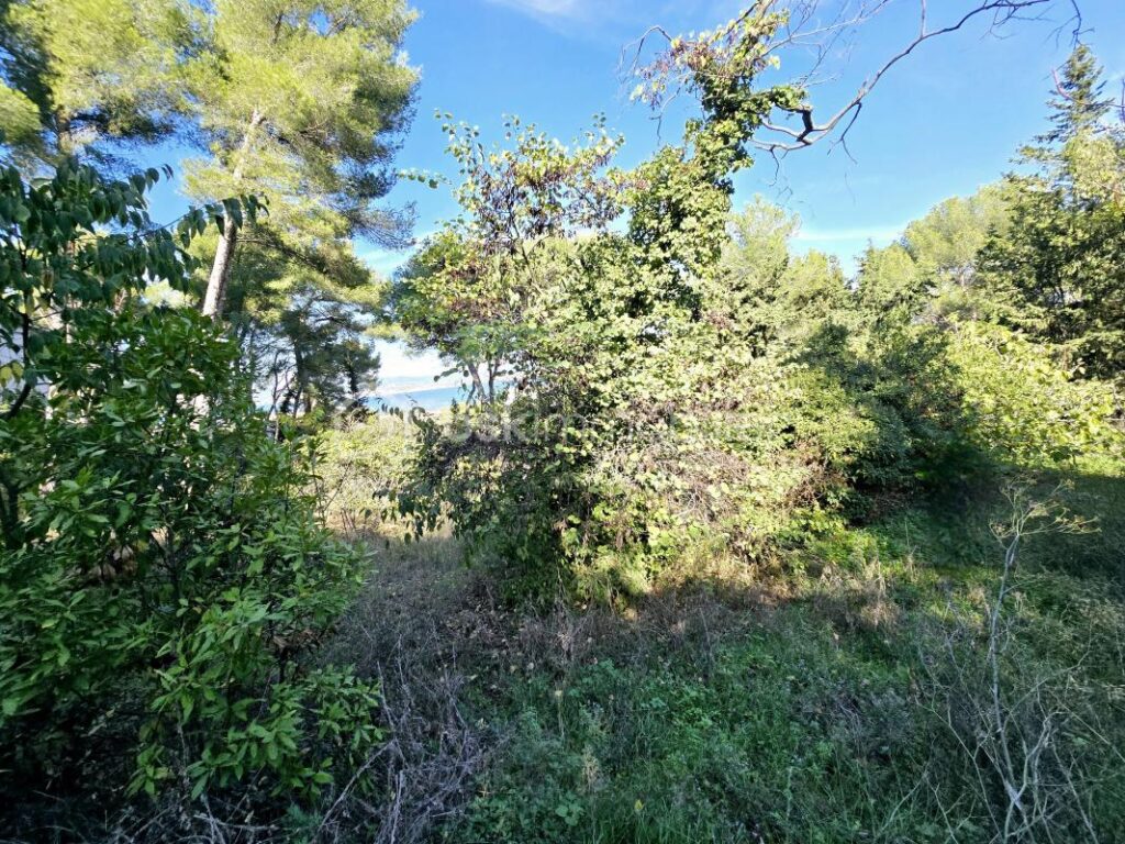 Terrain constructible de 2887 m² – Opportunité rare à Sète – NR pièces – NR chambres – 2887 m²