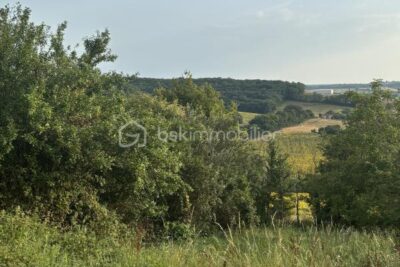 terrain à batir – NR pièces – NR chambres – 1013 m²