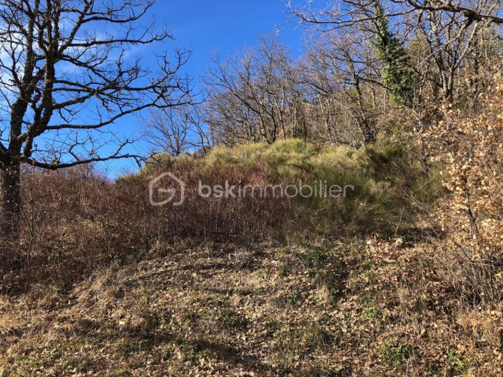 À Vendre – Terrain Constructible de 1 700 m² à Mujouls – NR pièces – NR chambres – 1700 m²