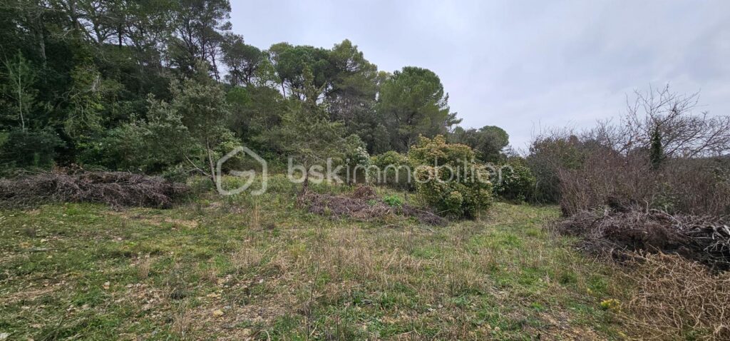 Terrain sur la commune de Villevieille – Zone AA – NR pièces – NR chambres – 7256 m²
