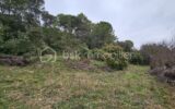Terrain sur la commune de Villevieille – Zone AA – NR pièces – NR chambres – 7256 m²