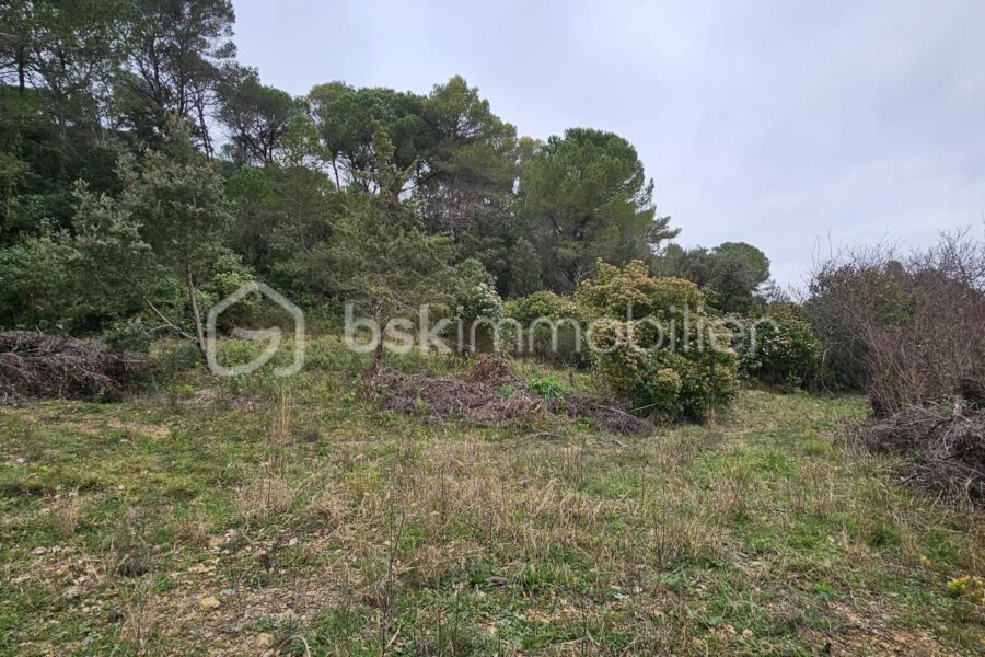 Terrain à vendre à Villevieille