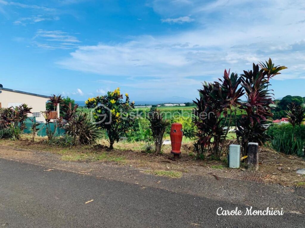 TERRAIN VIABILISE – NR pièces – NR chambres – 500 m²