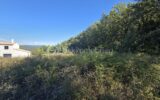 Terrain à vendre à Céreste-en-Luberon — Vue nature — photo 5