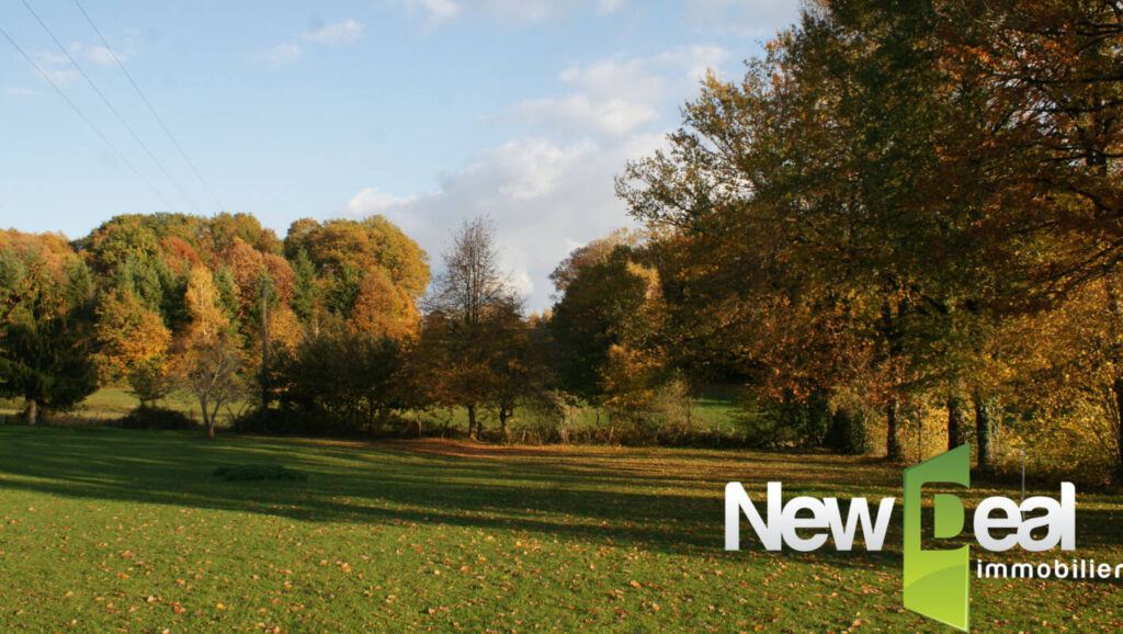Terrain constructible – NR pièces – NR chambres – 3169 m²