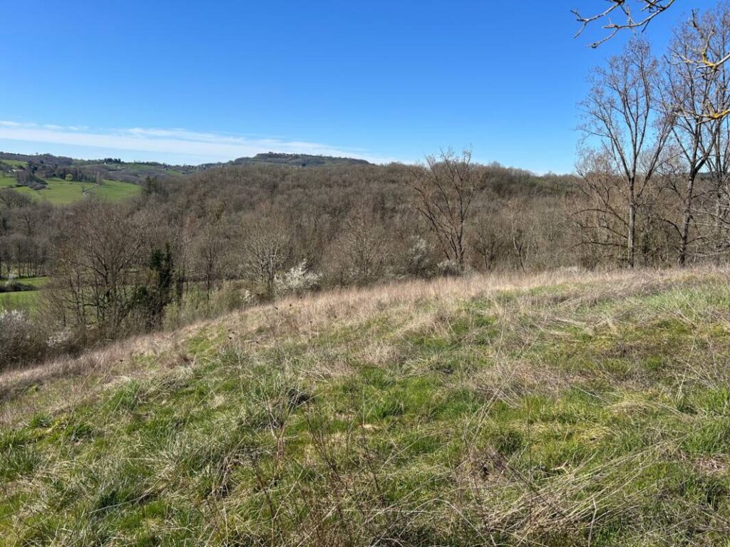 Grange et dépendance sur env. 1,3 htrs – 1 pièce – NR chambres – 130 m²