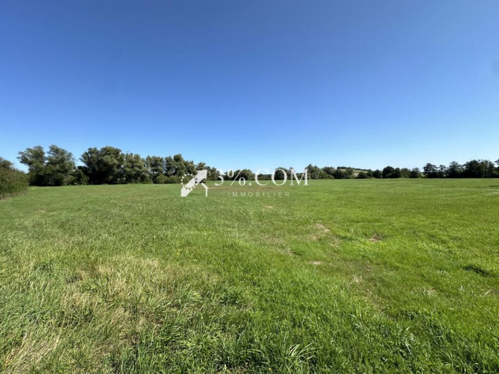 MAISON DE VILLAGE 300 M2 – TERRAIN 8.5 HECTARES – BOX POUR C – 12 pièces – 5 chambres – 300 m²