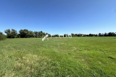 MAISON DE VILLAGE 300 M2 – TERRAIN 8.5 HECTARES – BOX POUR C – 12 pièces – 5 chambres – 300 m²