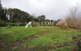 TERRAIN A BATIR A PROXIMITE DE LA CAPELLE – NR pièces – NR chambres – 998 m²