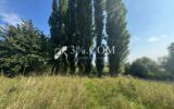 3%COM Très beau terrain viabilisé à PFETTISHEIM – NR pièces – NR chambres – 700 m²