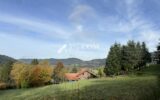 Terrain à bâtir 1800 m2 secteur Gerardmer – NR pièces – NR chambres – 1800 m²