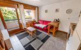 74310 – APPARTEMENT T2 – BALCON VUE MONT–BLANC – CENTRE VILLAGE – BONNE RENTABILITÉ LOCATIVE – 2 pièces – 1 chambre – 28 m²