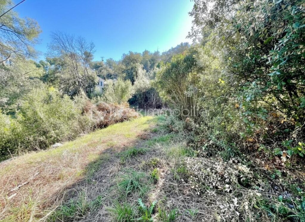 TERRAIN AVEC PERMIS – 4 104 m² – VUE DÉGAGÉE – CALME ABSOLU – NR pièces – NR chambres – 4104 m²