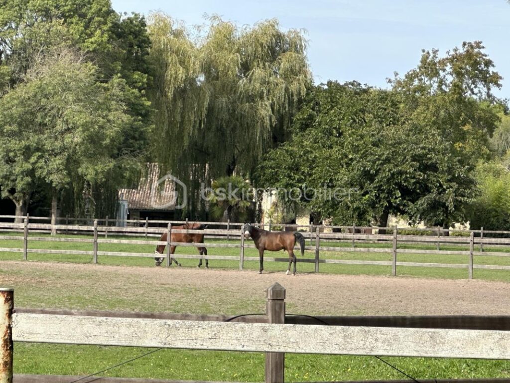 MAISON TYPE LONGERE SUR PARCELLE DE 1033 M2 – 7 pièces – 3 chambres – 154 m²