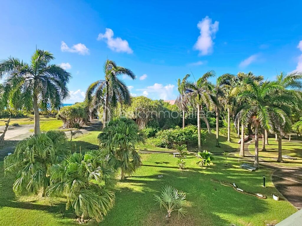 Studio Anse des Rochers vue mer – 1 pièce – 1 chambre – 20 m²