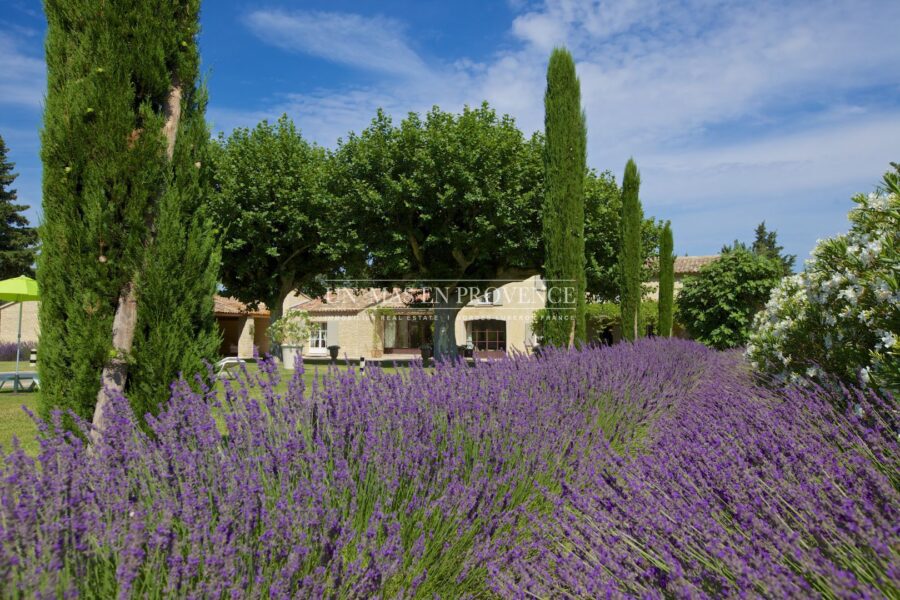 Maison à louer à Lagnes