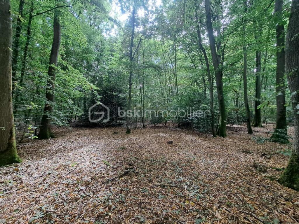 Maison au cœur d’une parcelle boisée – Coup de cœur assuré ! – 4 pièces – 3 chambres – 117 m²
