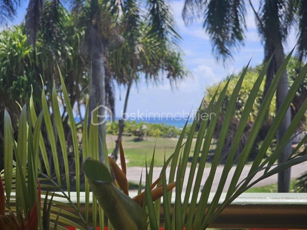 Splendide studio vue mer Anse des Rochers – 1 pièce – 1 chambre – 20 m²