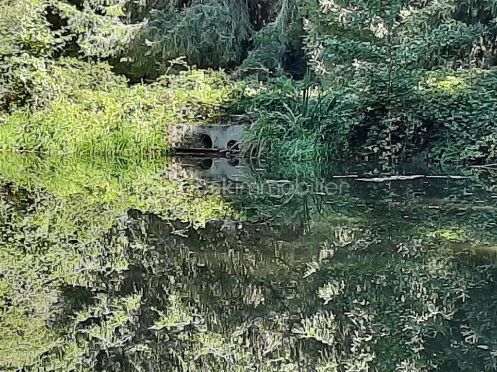 Terrain de loisir 9275 m² – Cognac la Forêt 87310 – NR pièces – NR chambres – 9773 m²