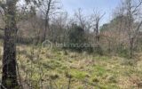Terrain agricole de 4607 m2 à Marquixanes – NR pièces – NR chambres – 4607 m²