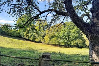 Maison de plain pied – 6 pièces – 4 chambres – 107 m²