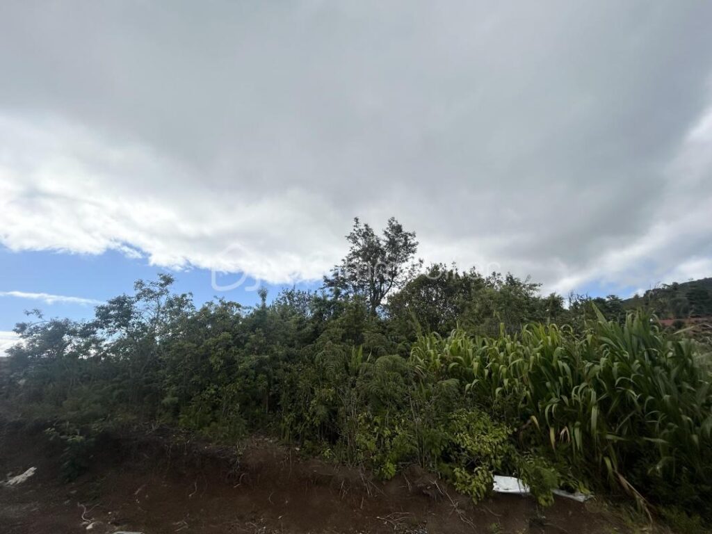 Parcelle de terrain constructible de 994 m2 (vue mer et montagne) – NR pièces – NR chambres – 994 m²