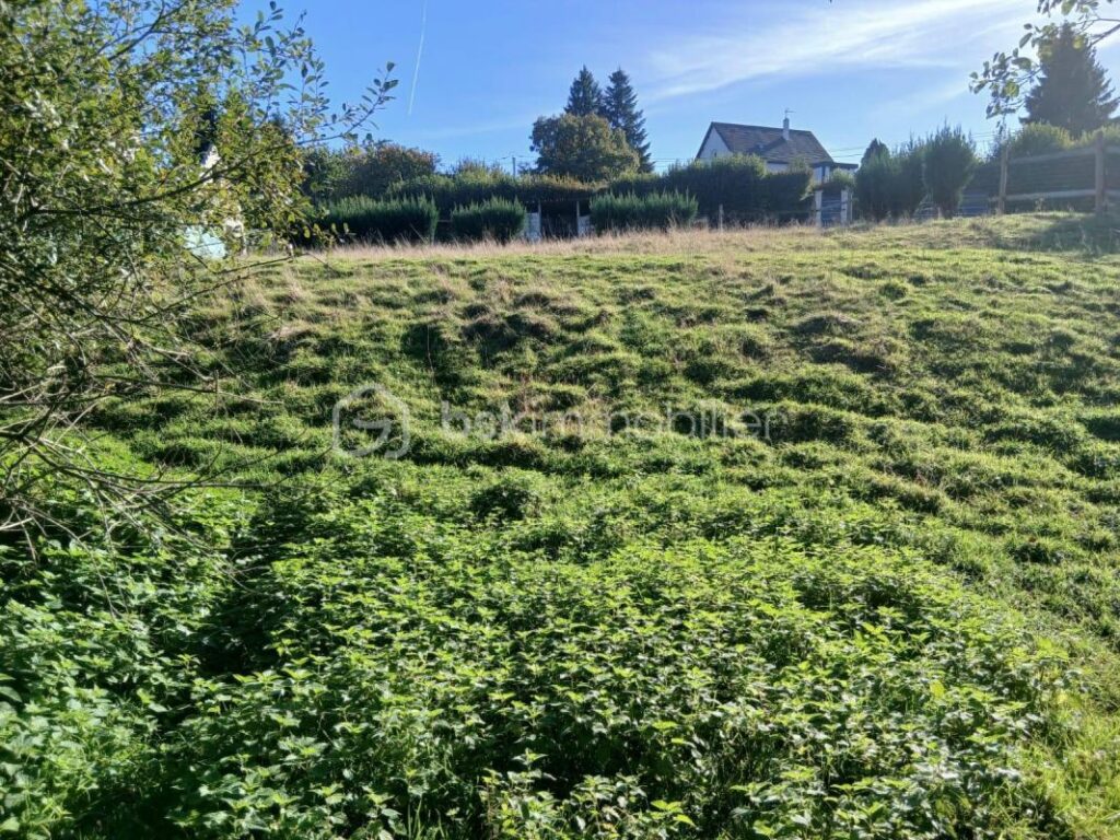 Terrain constructible en bordure de rivière – NR pièces – NR chambres – 1250 m²