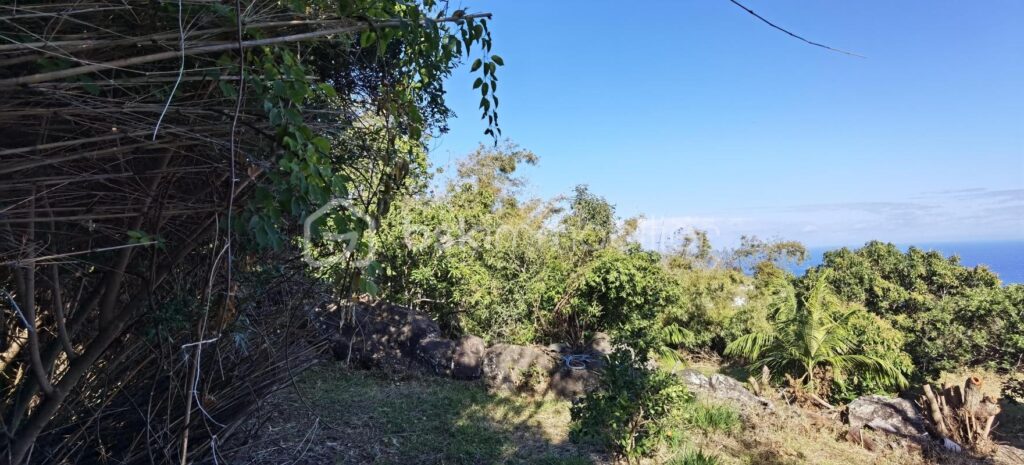 A VENDRE – TERRAIN – LA MONTAGNE – SAINT DENIS – NR pièces – NR chambres – 704 m²