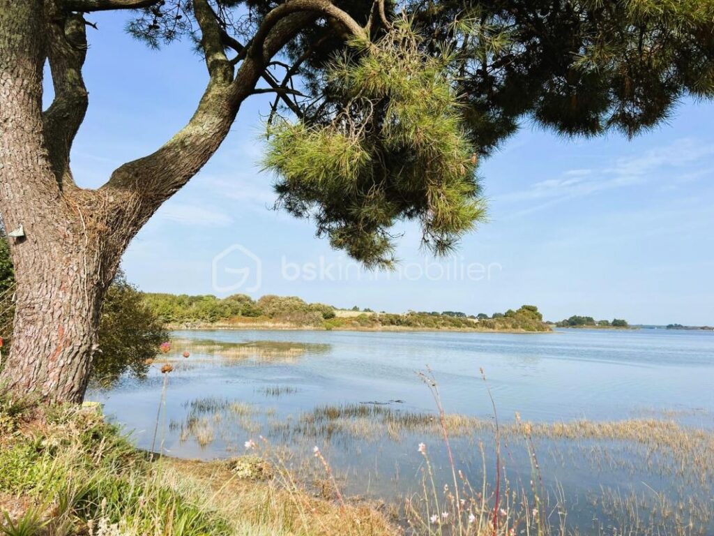 Maison pieds dans la RIA d’ETEL – 5 pièces – 4 chambres – 80 m²