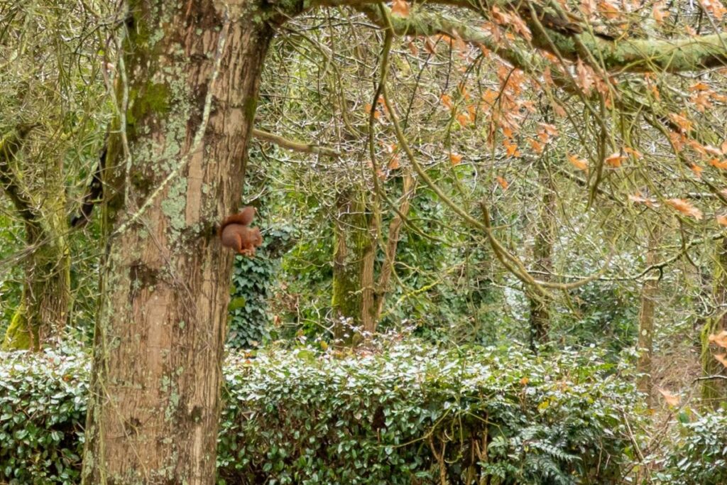 Appartement T4 de 76,29m2 – 4 pièces – 2 chambres – 76 m²