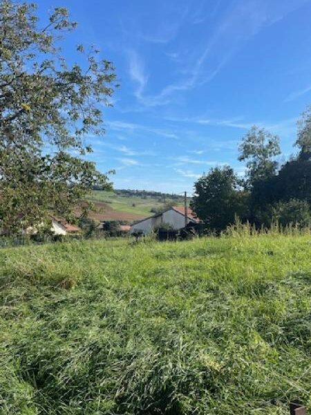 Terrain à vendre à Bouxieres aux chenes