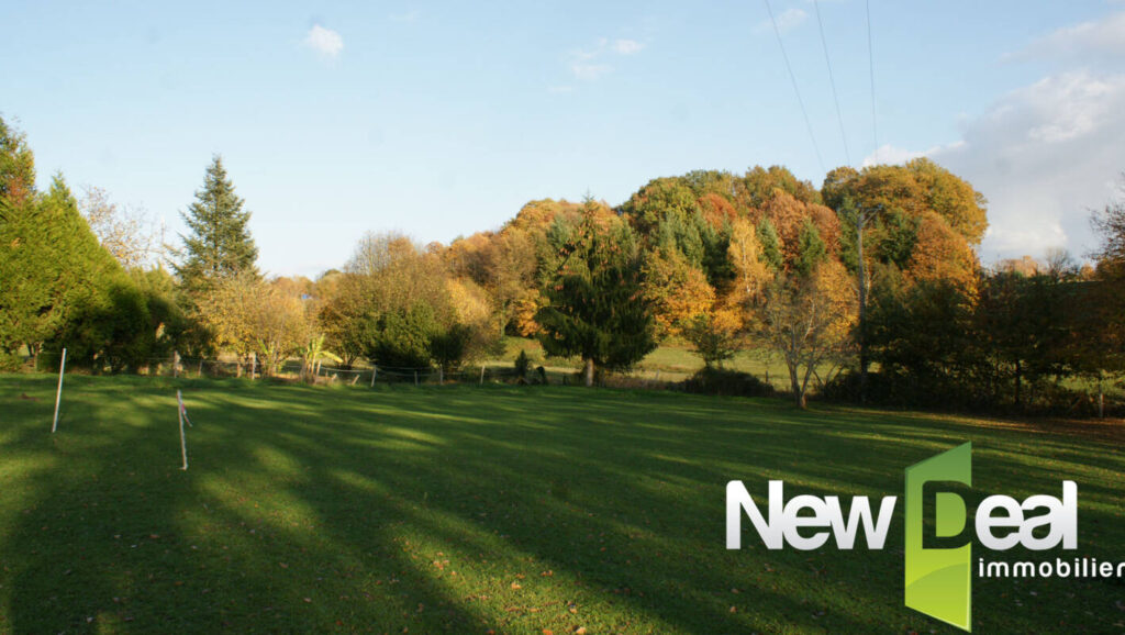 Terrain constructible – NR pièces – NR chambres – 3169 m²