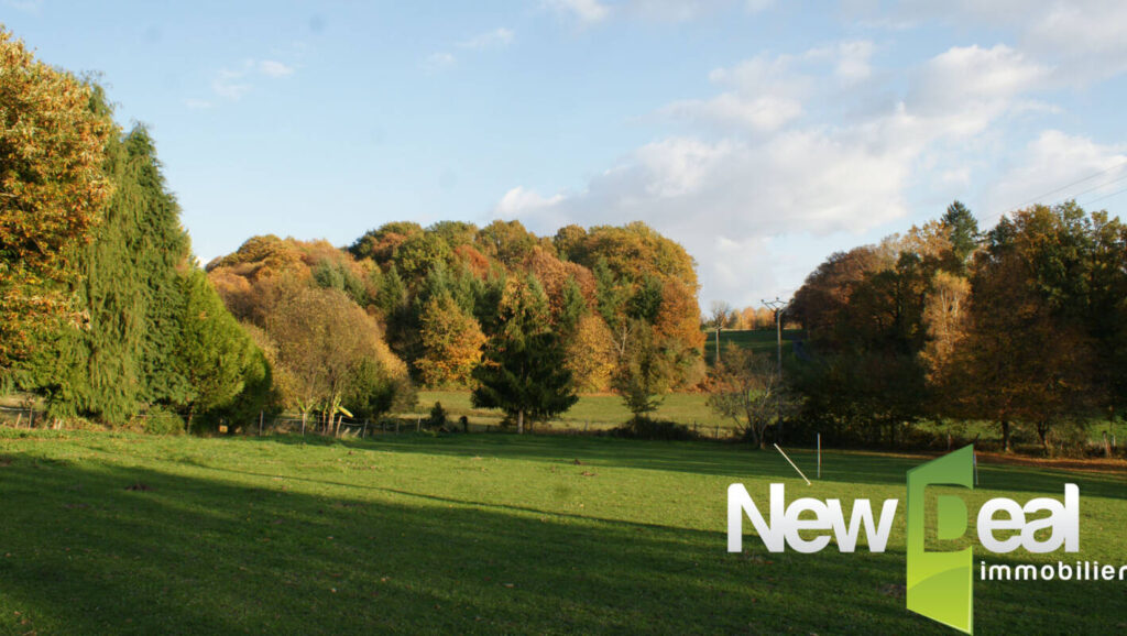 Terrain constructible – NR pièces – NR chambres – 1668 m²
