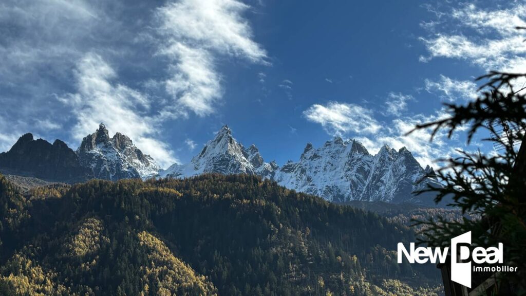 CHALET – 2 APPARTEMENTS – CHAMONIX MONT-BLANC – 6 pièces – 4 chambres – 101 m²