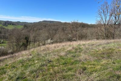 grange sur env. 6 000 m2 – 1 pièce – NR chambres – 300 m²