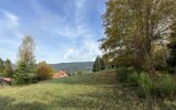 Terrain à bâtir 1800 m2 secteur Gerardmer – NR pièces – NR chambres – 1800 m²