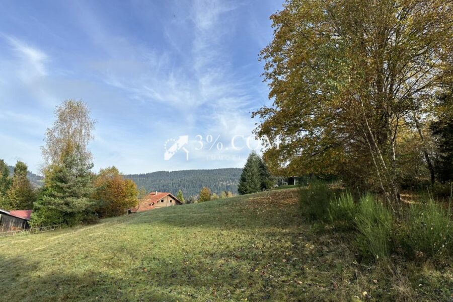 Terrain à vendre à Gerardmer