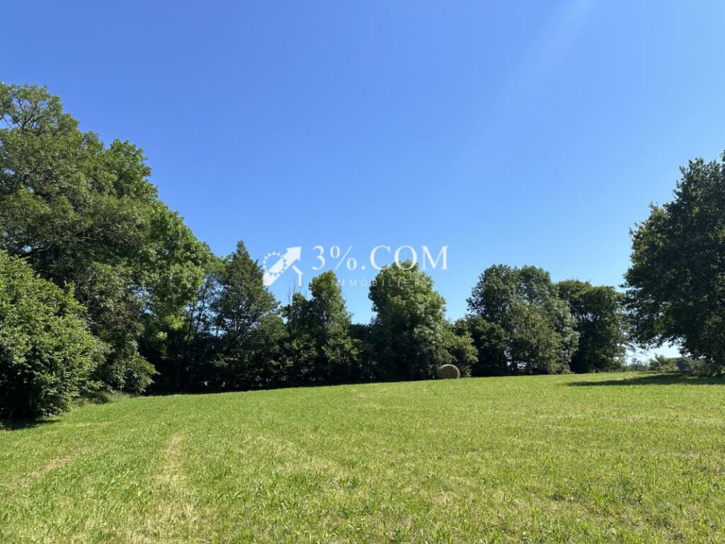 Terrain constructible de 6363 m2 sur la commune d’Uriménil – NR pièces – NR chambres – 6363 m²