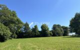 Terrain constructible de 6363 m2 sur la commune d’Uriménil – NR pièces – NR chambres – 6363 m²