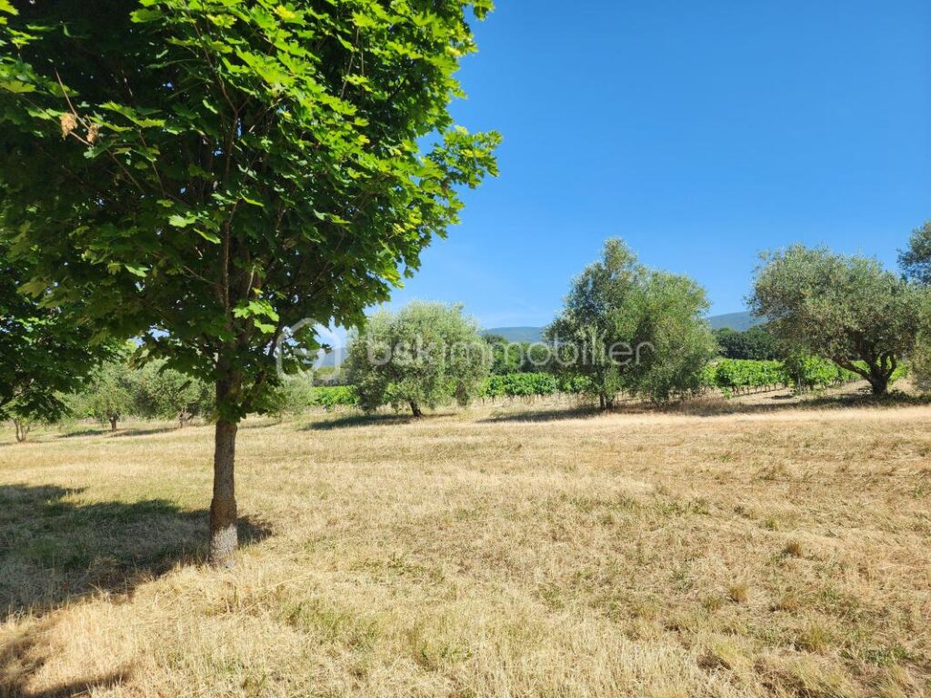 Mas Authentique au Cœur du Luberon sur plus de 2,7 hectares – 5 pièces – 3 chambres – 180 m²