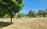Mas Authentique au Cœur du Luberon sur plus de 2,7 hectares – 5 pièces – 3 chambres – 180 m²