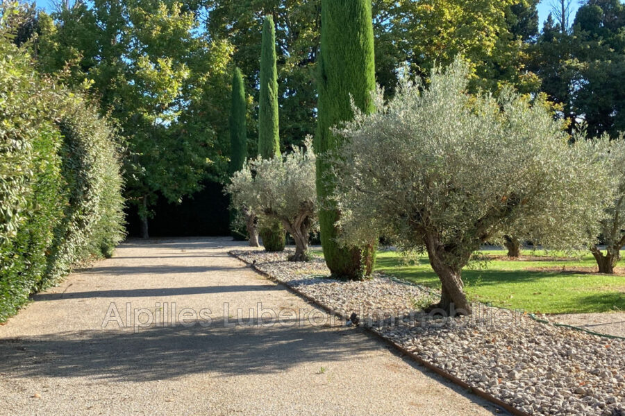Maison à vendre à Saint-rémy-de-provence