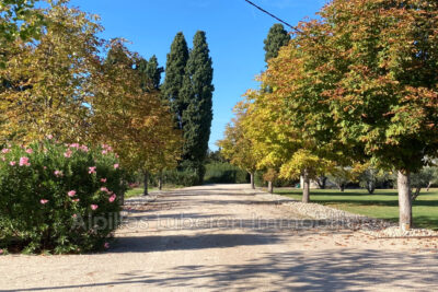 vente maison de caractère 6 Pièce(s) – 6 pièces – 4 chambres – 242.00 m²