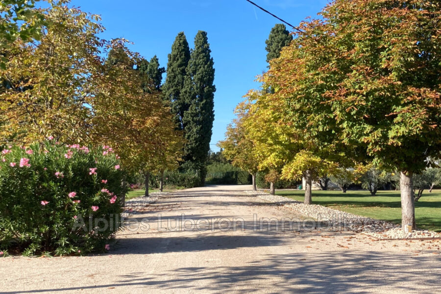 Maison à vendre à Saint-rémy-de-provence