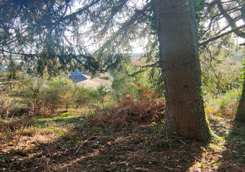 Maison à vendre à Egletons