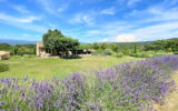 Mas Provençal avec Piscine et Vue Panoramique à Bonnieux ? Loc – 5 pièces – 5 chambres – 300.00 m²
