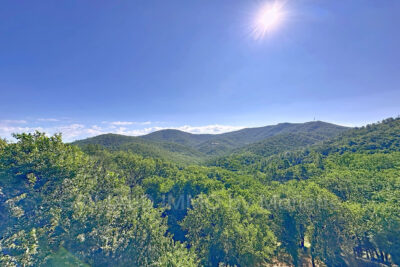 proprieté sur 2,8 Ha avec piscine et 7 chambres. – 16 pièces – 7 chambres – 395.00 m²