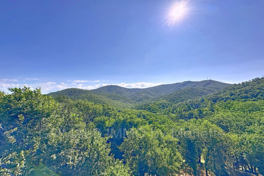 Maison à vendre à La Garde-Freinet